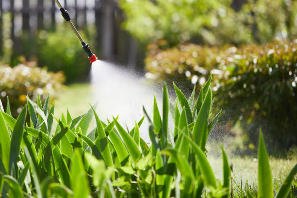 24/7 Emergency Wasp Removal experts in Columbus AFB, MS