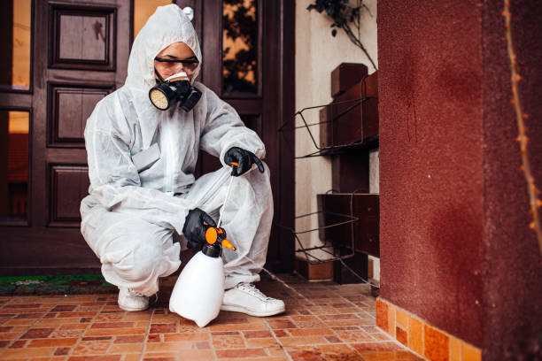 Reliable Wasp Removal contractor in Columbus AFB, MS by Show Me Pest Control