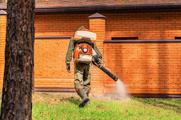 Top rated local Wasp Removal specialists in Columbus AFB, MS